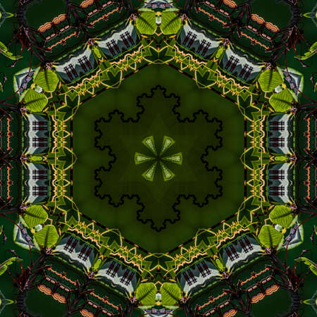 Abstract Computer generated Fractal design. A fractal is a never-ending pattern. Fractals are...