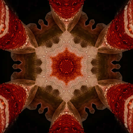 Abstract Computer generated Fractal design. A fractal is a never-ending pattern. Fractals are...