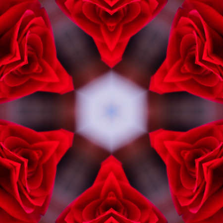 Abstract Computer generated Fractal design. A fractal is a never-ending pattern. Fractals are infinitely complex patterns that are self-similar across different scales. Great for cell phone wallpaperの写真素材