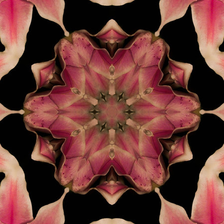 Abstract Computer generated Fractal design. A fractal is a never-ending pattern. Fractals are infinitely complex patterns that are self-similar across different scales. Great for cell phone wallpaperの写真素材