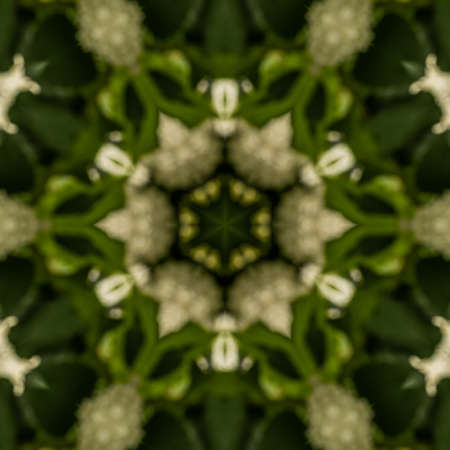 Abstract Computer generated Fractal design. A fractal is a never-ending pattern. Fractals are...
