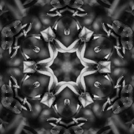 Abstract Computer generated Fractal design. A fractal is a never-ending pattern. Fractals are infinitely complex patterns that are self-similar across different scales. Great for cell phone wallpaperの写真素材