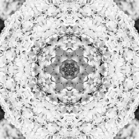 Abstract Computer generated Fractal design. A fractal is a never-ending pattern. Fractals are...