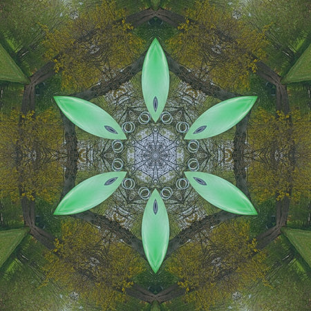 Abstract Computer generated Fractal design. A fractal is a never-ending pattern. Fractals are infinitely complex patterns that are self-similar across different scales. Great for cell phone wallpaperの写真素材