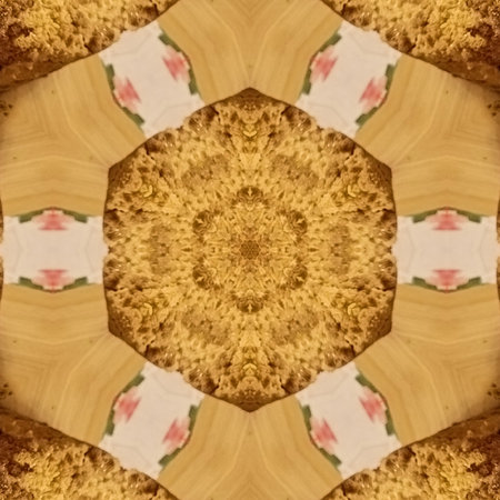 Abstract Computer generated Fractal design. A fractal is a never-ending pattern. Fractals are infinitely complex patterns that are self-similar across different scales. Great for cの写真素材