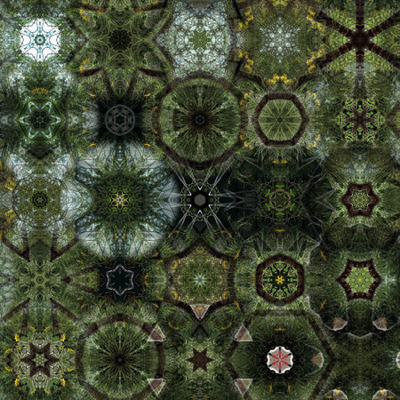 Abstract Computer generated Fractal design. A fractal is a never-ending pattern. Fractals are...