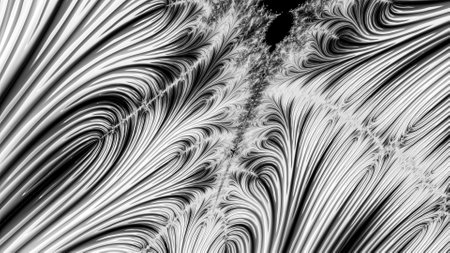 Digital abstract fractal background generated at computer in black and white.の写真素材