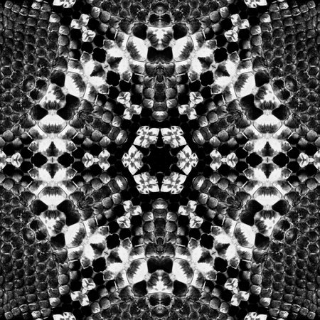 Abstract Computer generated Fractal design. A fractal is a never-ending pattern. Fractals are infinitely complex patterns that are self-similar across different scales. Great for cの写真素材