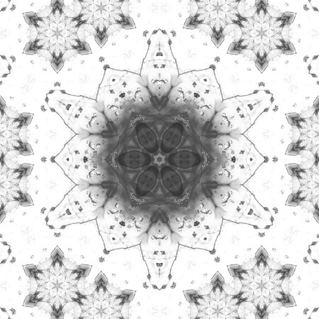 Abstract Computer generated Fractal design. A fractal is a never-ending pattern. Fractals are infinitely complex patterns that are self-similar across different scales. Great for cの写真素材