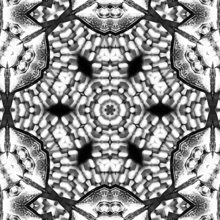 Abstract Computer generated Fractal design. A fractal is a never-ending pattern. Fractals are infinitely complex patterns that are self-similar across different scales. Great for cの写真素材