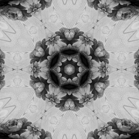 Abstract Computer generated Fractal design. A fractal is a never-ending pattern. Fractals are...