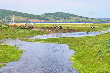 A view of a typical village in the north of the European part of Russia