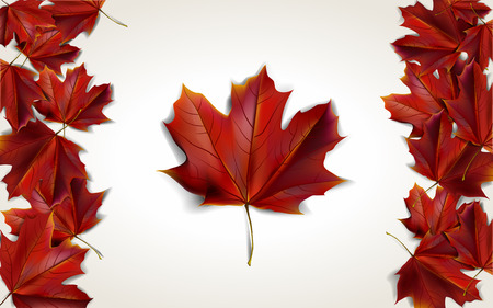 Maple leaves placed in form of Canadian flag, vector illustrationのイラスト素材