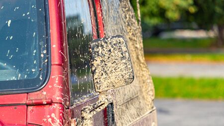 Caked mud after an off-road drive shows on a red SUV's side mirror.の写真素材