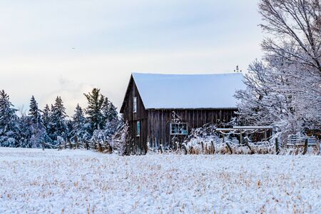 A wooden barn stands at the edge of a field, covered in and surrounded by the snow. The winter landscape around it includes an agricultural field, evergreen trees behind it and some bare trees beside.の写真素材