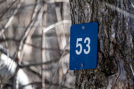 A trail marker on a recreational hiking trail through woods shows the number "53" in white on blue plastic. The marker is nailed to a tree trunk along the nature trail's pathway through the forest.の写真素材