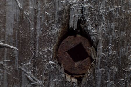 A close-up of a rusty screw with a square recess that has been pushed deep into aged wood causing splinters.の写真素材