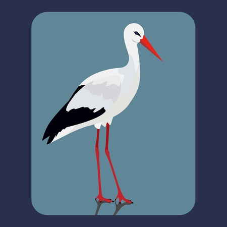 Vector illustration of storkのイラスト素材