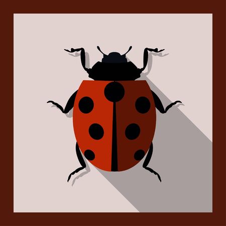 Ladybug in flat style - vector illustrationのイラスト素材