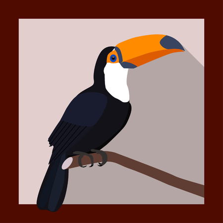 Toucan on a branch in flat style - vector illustrationのイラスト素材