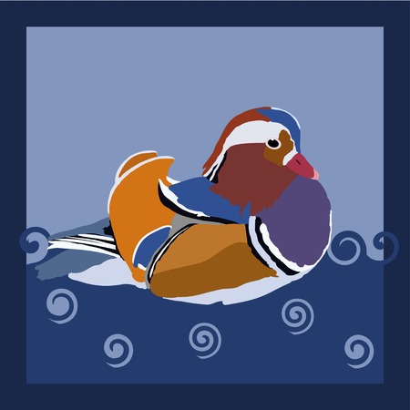 Colorful wood duck - vector illustrationのイラスト素材