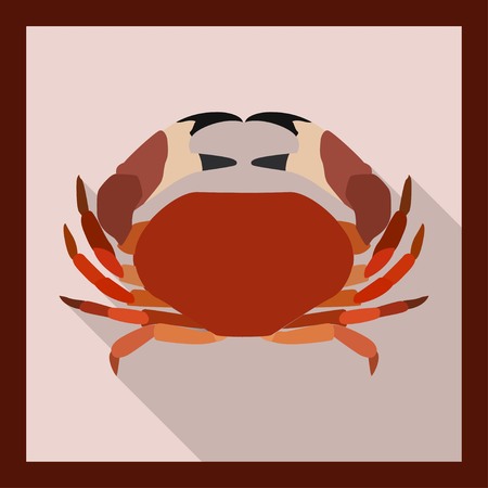 Crab in flat style - vector illustrationのイラスト素材