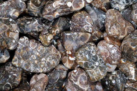 Texture, a mix of grey gemstonesの写真素材