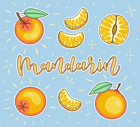 Mandarin Whole and pieces. Vector stock illustration. Colored fruit set isolated on yellow background. Lettering.のイラスト素材