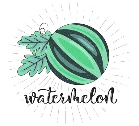 Watermelon Fruit symbol for farm market menu. Healthy food design. Vector stock illustration. Letteringのイラスト素材