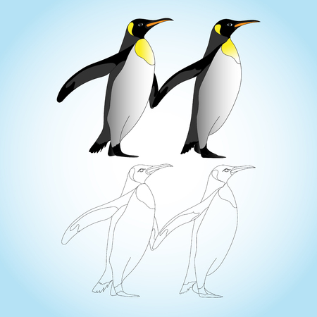 Penguins are a group of aquatic flightless birds. They live almost exclusively in the Southern Hemisphere, with only one species, the Galapagos penguin, found north of the equator.のイラスト素材