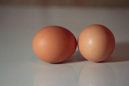 two eggsの写真素材