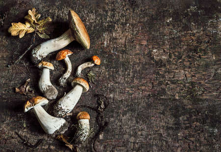 Autumn composition with porcini mushrooms and oak leaves on dark old wooden background. Flat lay, copy spaceの写真素材