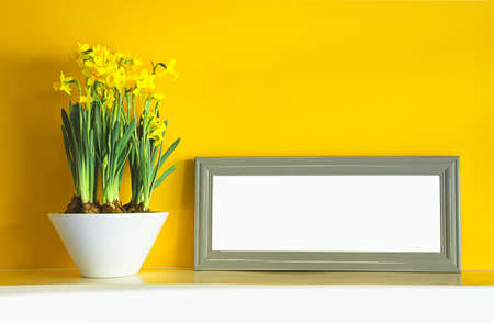 Blooming yellow daffodils in a white ceramic pot and a gray photoframe on a white shelf on a yellow...