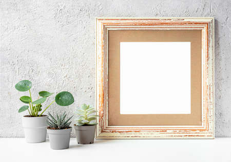 Wooden photo frame and home plants in small pots - pilea, haworthia and echeveria on a light gray...