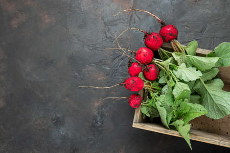 Environmentally friendly fresh radish in a wooden box on a gray background, gardening, connecting with nature and natural food concept, top view with copy spaceの写真素材