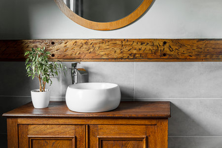 Bathroom interior with modern fittings and rustic elements and a ficus in a white flowerpotの写真素材
