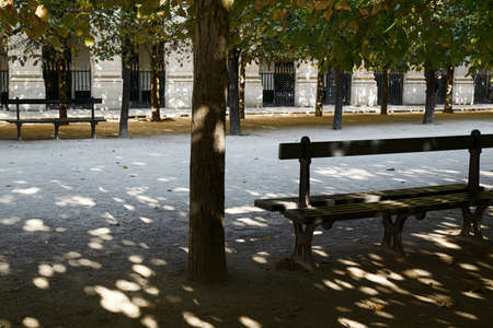 Bench in autumn park on a sunny day with shadows from trees on the groundの写真素材