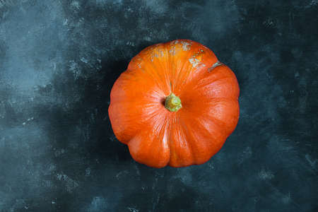 A fresh organic ripe potimarron pumpkin isolated on a blue background, autumn and harvesting conceptの写真素材