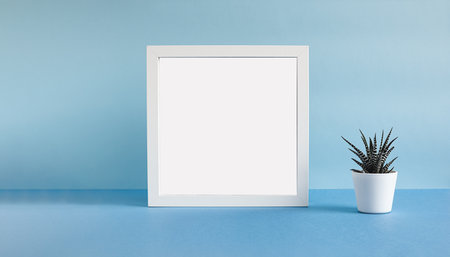 White mock up photo frame and haworthia home plant in a white pot on a light blue backgroundの写真素材