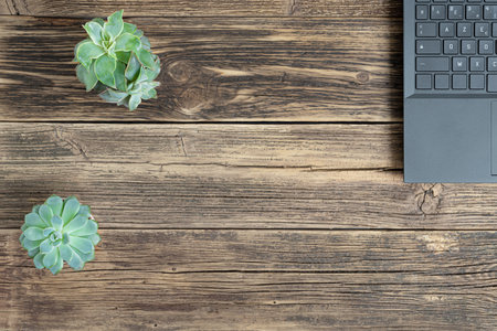 A laptop and two succulent home plants on a wooden table, the concept of work from home, remote work, freelance and online education, top view with copy spaceの写真素材