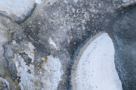 Macro shot of a seashell as a natural background, shallow DOFの写真素材