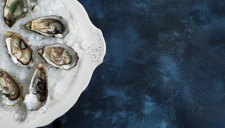 Opened oysters on a plate with ice on a blue background, top view with copy spaceの写真素材