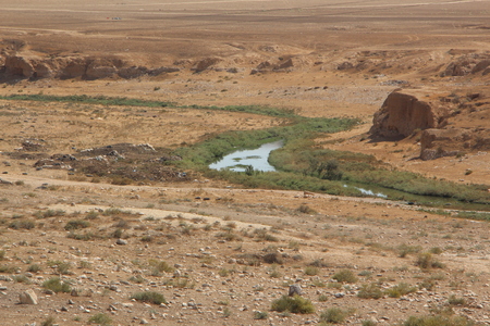 A small wadi in Negev desert, Israelの写真素材