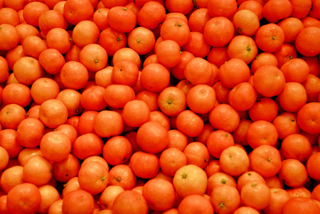 Fruits, vegetables, nuts and other healthy food.の写真素材