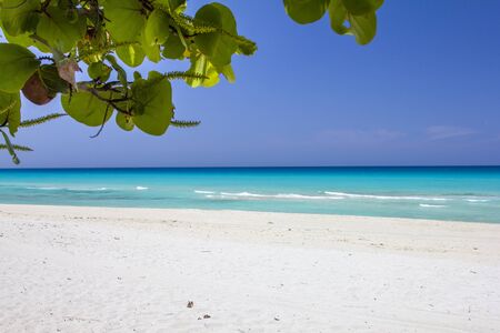 varadero ocean beachの写真素材