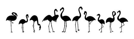 Standing cute pale pink flamingo vector clipartのイラスト素材