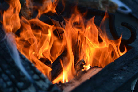 Bonfire grill flames of fire for barbecue cookout on charcoal in campfire. Hot wood and charcoals burningの写真素材