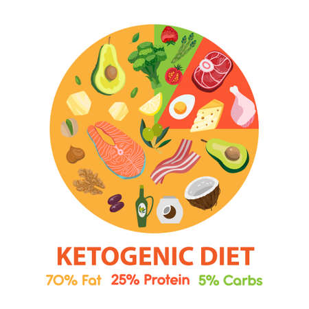 Ketogenic diet macros food diagram circle chart.のイラスト素材