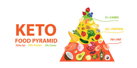 Ketogenic diet food pyramid. Keto diet concept of healthy nutrition low carbs, fats, proteins. Vector banner illustration of keto infographic with dietic foods structureのイラスト素材
