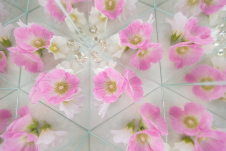 malvaceae light floral background with kaleidoscope effect in boho or bohemian style with geometry hexagon stuctureの写真素材